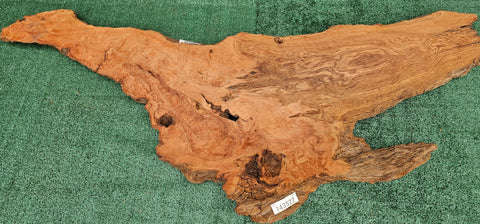 Redwood Burl #143522