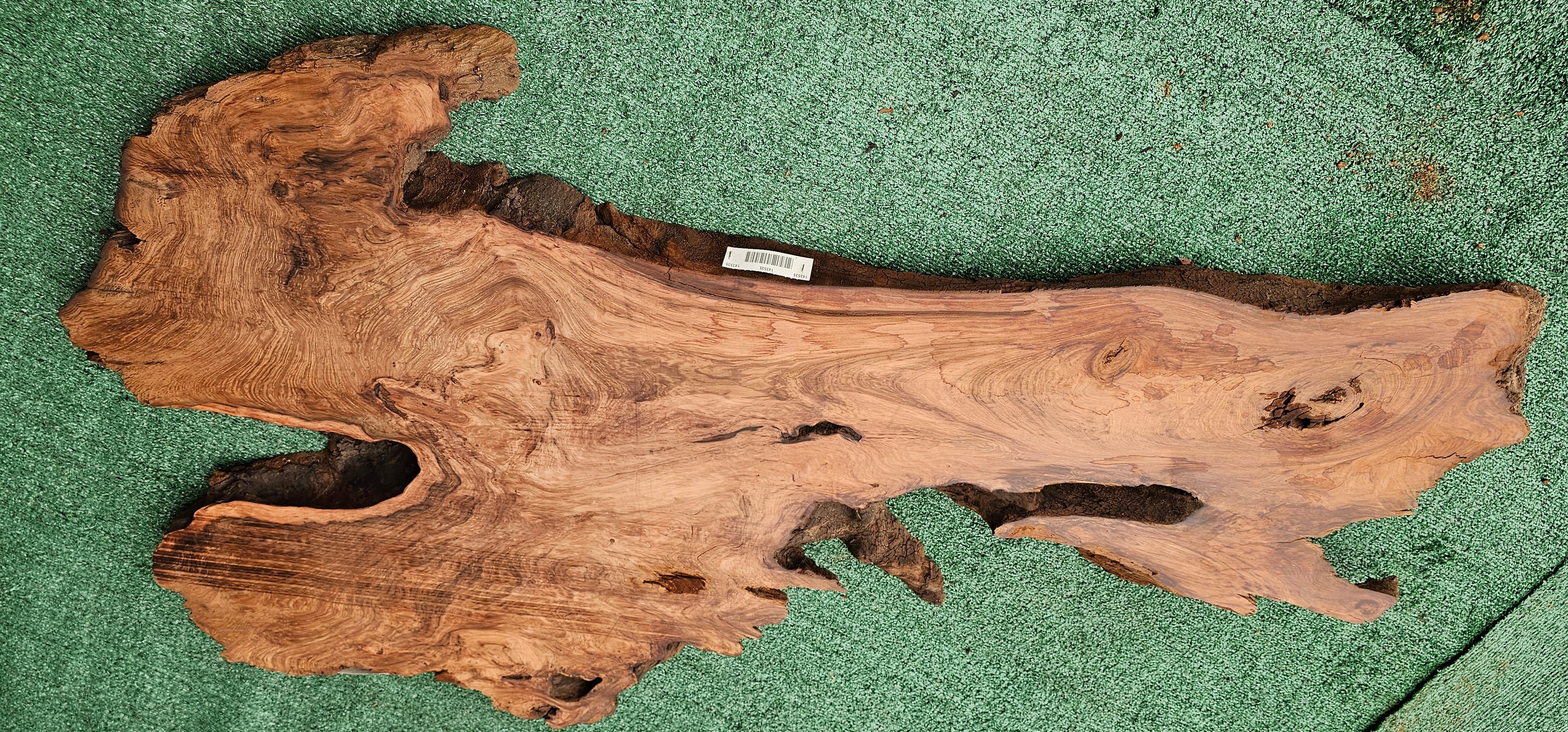 Redwood Burl #143535
