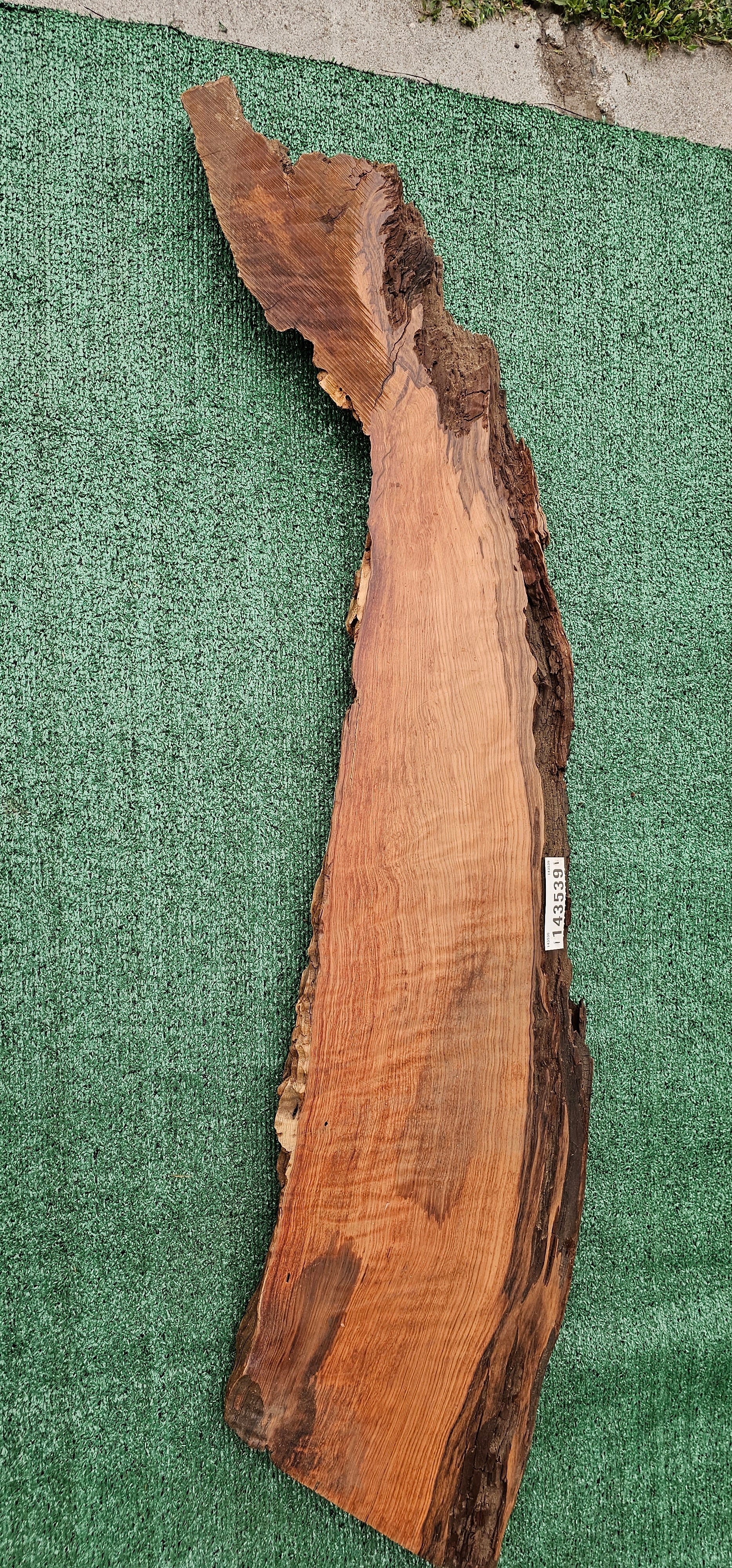 Redwood Burl #143539