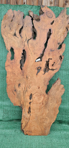 Redwood Burl # 143573