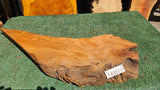Redwood Burl # 143579