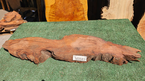 Redwood Burl #143583