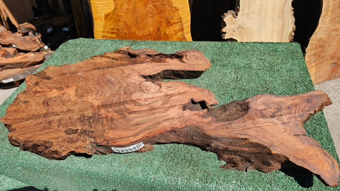 Redwood Burl # 143590