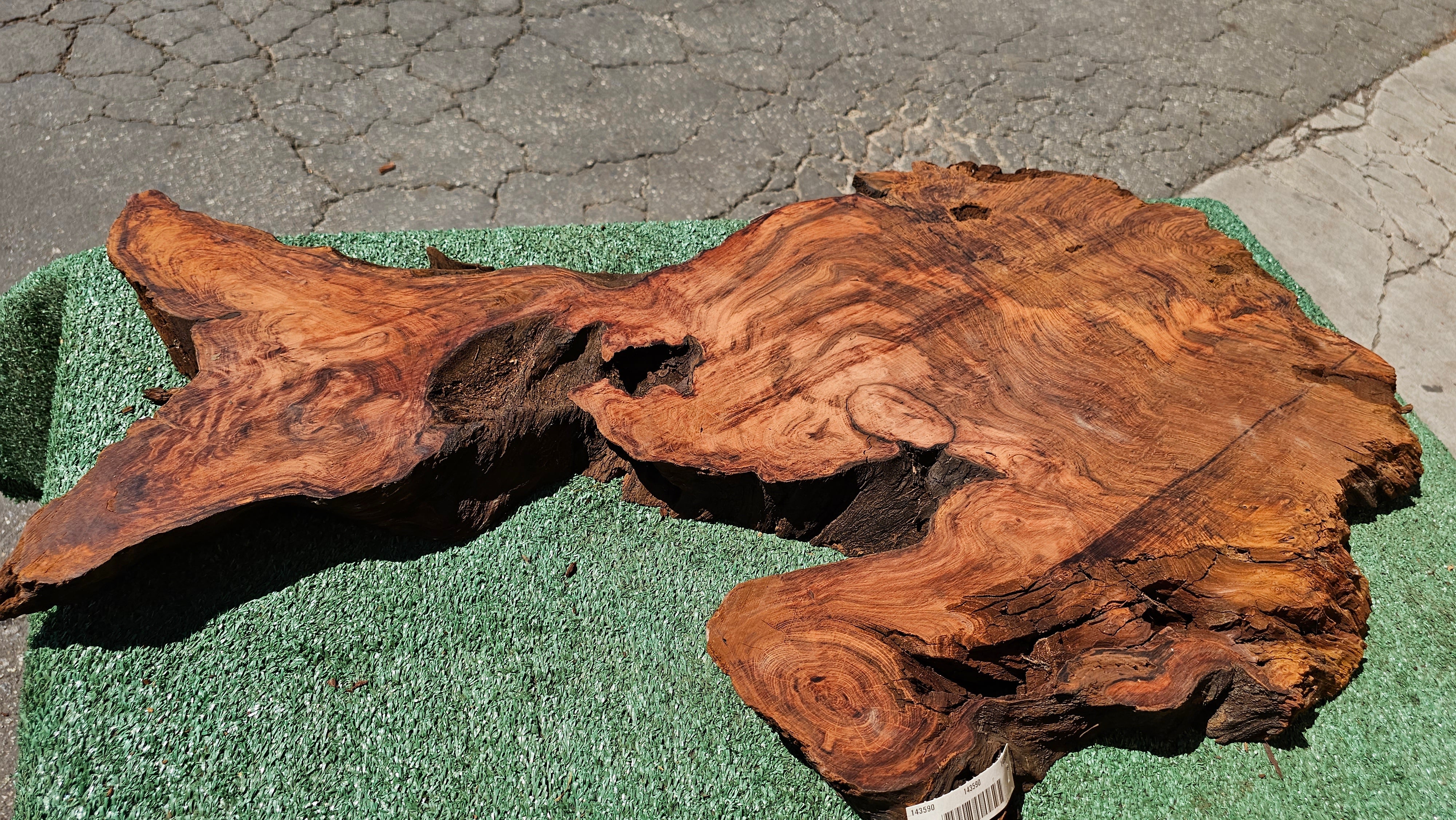 Redwood Burl # 143590