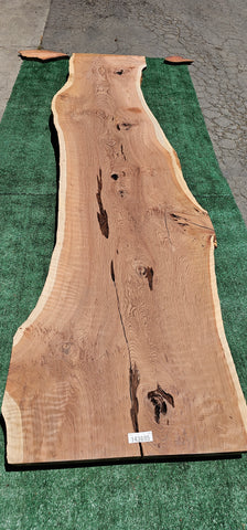 Old Growth Redwood # 143695