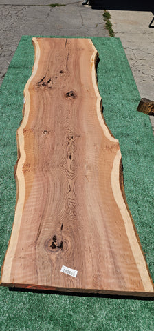 Old Growth Redwood #143696