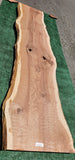 Old Growth Redwood #143697