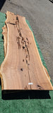 Old Growth Redwood # 143699