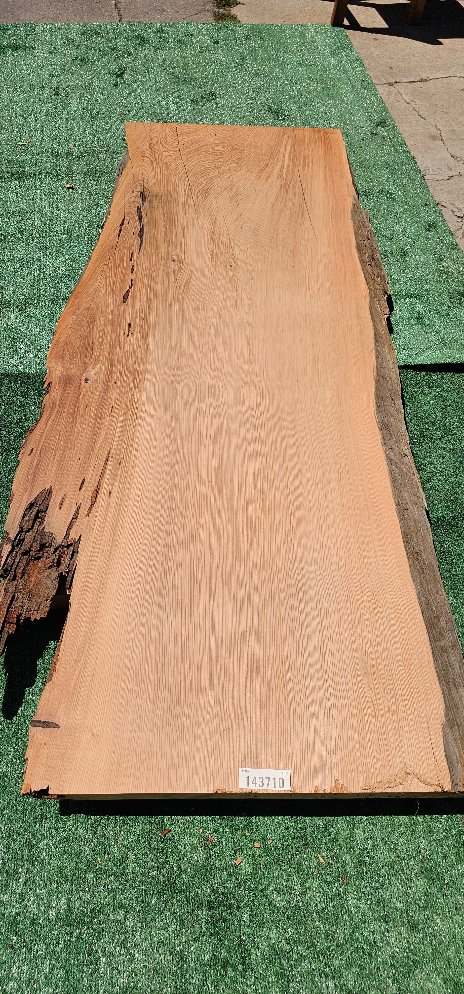 Old Growth Redwood #143710