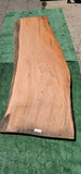 Old Growth Redwood #143714