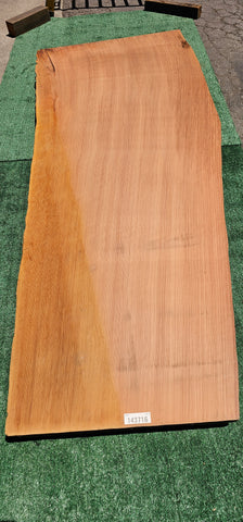 Old Growth Redwood #143716