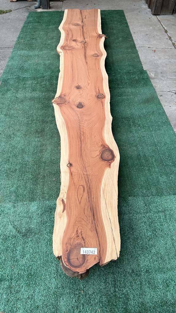 Second Redwood # 143742