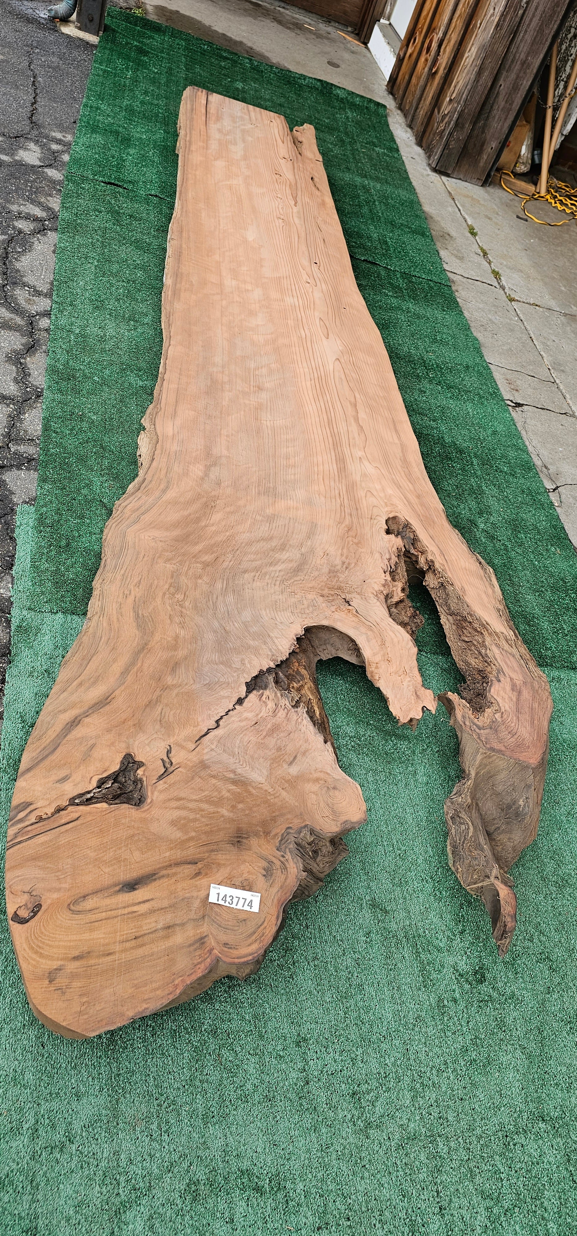 Old Growth Redwood # 143774