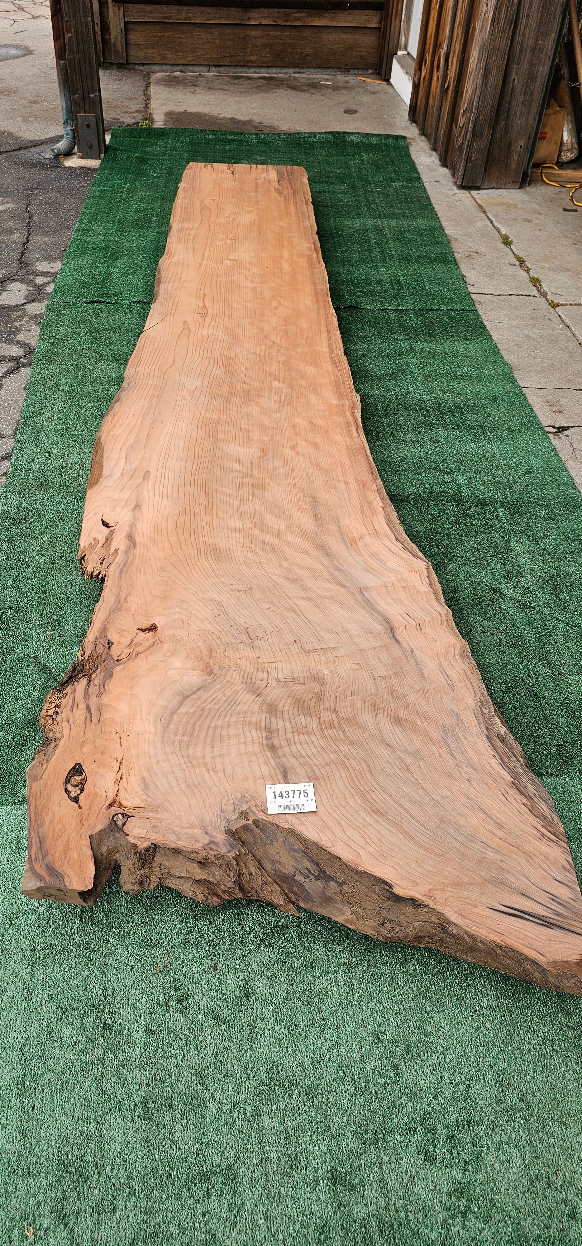 Old Growth Redwood # 143775