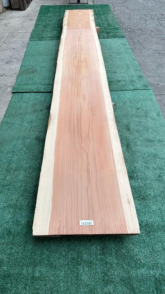 Second Redwood # 143781