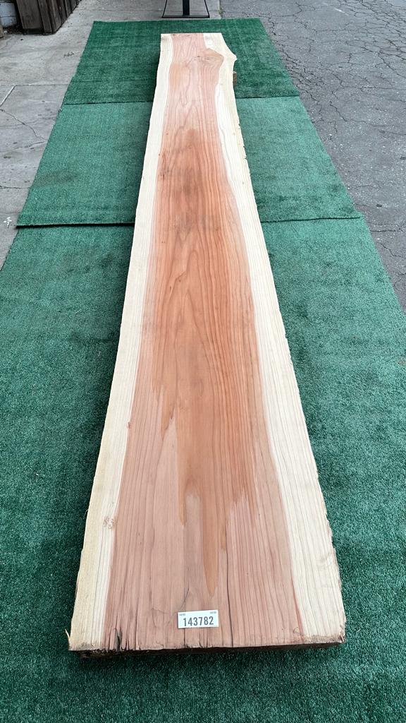 Second Redwood # 143782