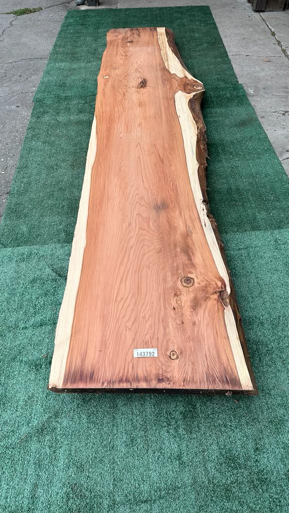 Second Redwood # 143792