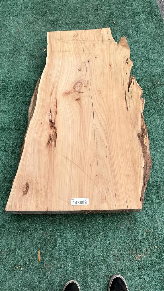 Monterey Cypress #143809