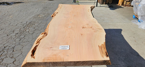 Cedar wood # 143945