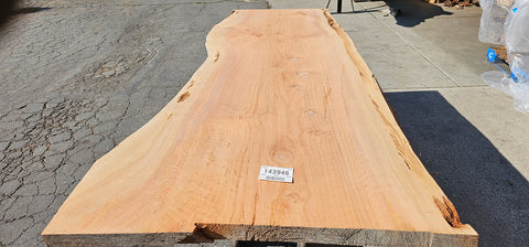 Cedar wood # 143946