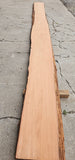 Old Growth Redwood #144000