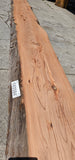 Old Growth Redwood #143504