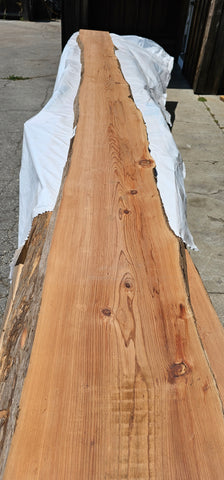 Old Growth Redwood #143507