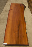 Old Growth Redwood #143043