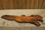 Redwood Burl #143047