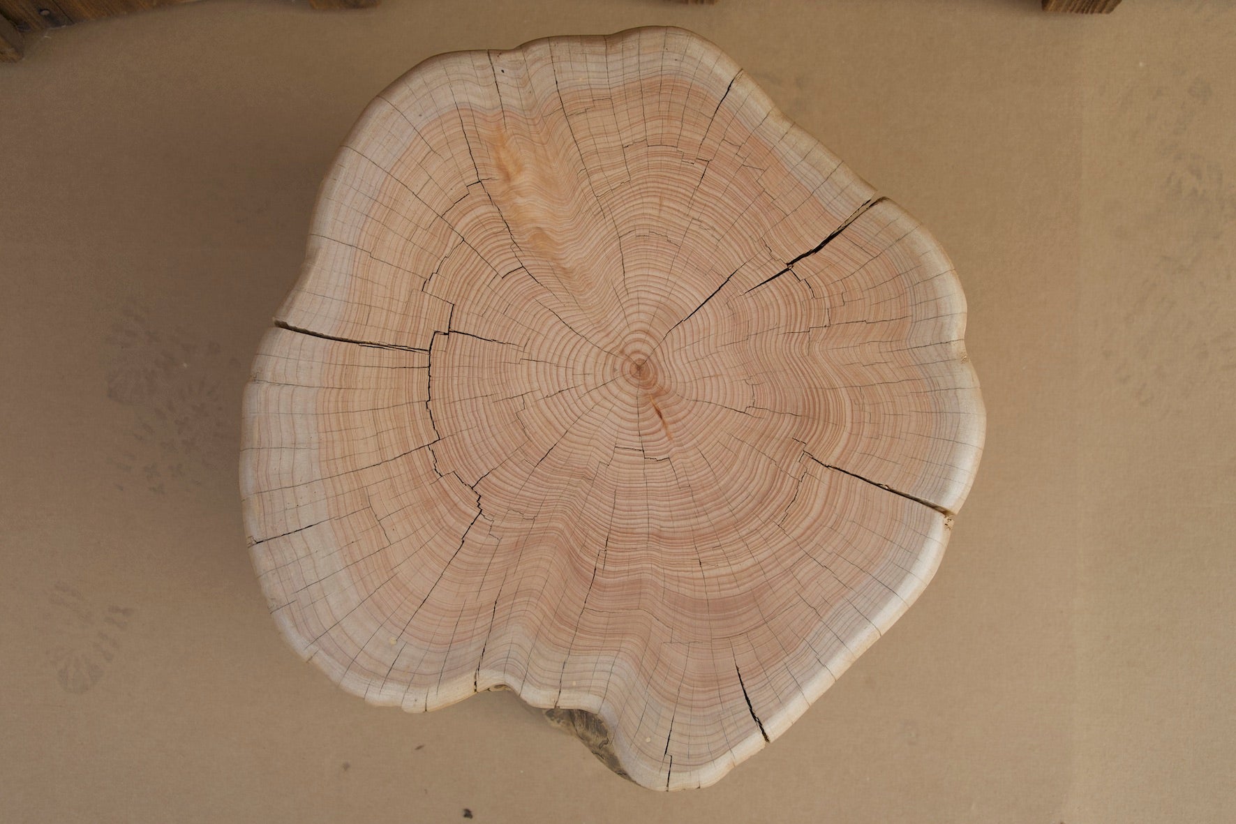 Monterey Cypress Wood Stool #143143