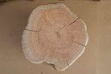 Monterey Cypress Wood Stool #143143
