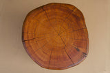 Monterey Cypress Wood Stool #143144